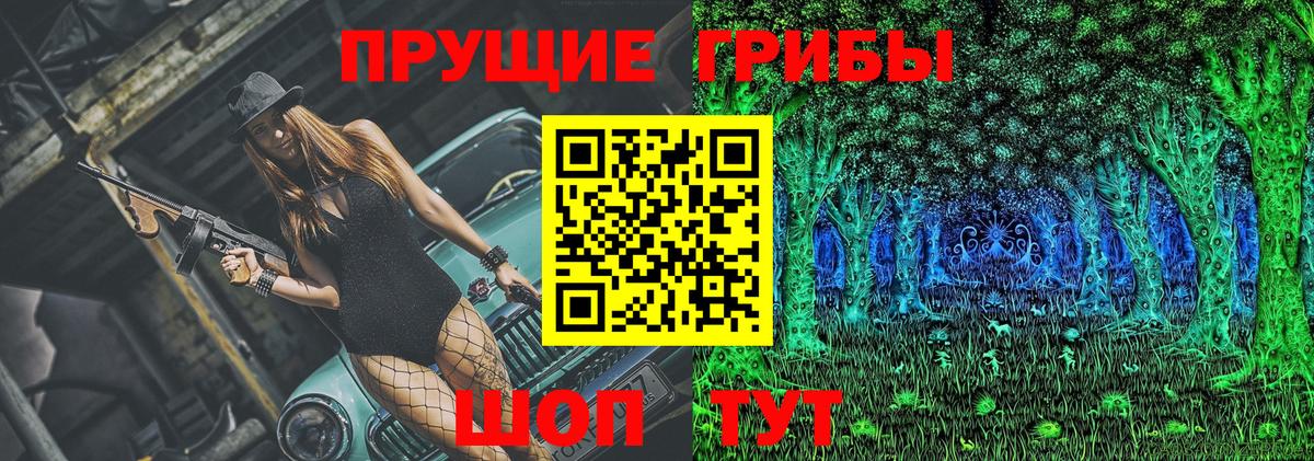 купить   Галлюциногенные грибы Psilocybine cubensis  Владикавказ  Вход с VPN  Псилоцибиновые грибы GOLDEN TEACHER 